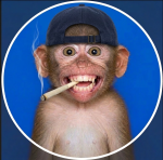 Vito_Garchino